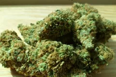 CBD Cannabis Blüten