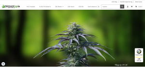 Bewertungen für CBD Shop24